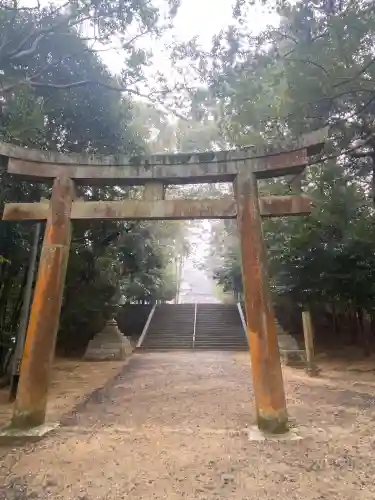 安仁神社の{uncategorized: "未分類", other: "その他", undefined: "問題あり", building: "その他建物", grave: "お墓", sacred_gate: "鳥居", guardian: "狛犬", statue: "像", buddha: "仏像", history: "歴史", nature: "自然", garden: "庭園", animal: "動物", pagoda: "塔", temizu: "手水舎", mountain_gate: "山門・神門", sanctuary: "本殿・本堂", subordinate: "末社・摂社", art: "芸術", scenery: "景色", jizo: "地蔵", ema: "絵馬", goshuin: "御朱印", omikuji: "おみくじ", items: "授与品その他", amulet: "お守り", goshuincho: "御朱印帳", eats: "食事", festival: "お祭り", votive_dance: "神楽", shichigosan: "七五三参", wedding: "結婚式", experience: "体験その他", initially: "初詣", around: "周辺", anti_infection: "感染症対策"}