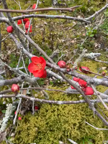 三室戸寺の自然