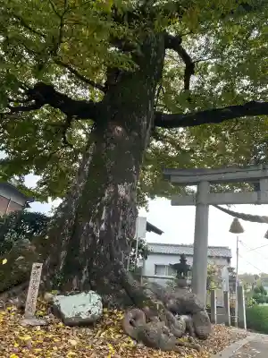 天満宮(大阪府)