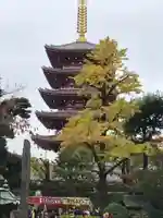 題経寺(柴又帝釈天)の塔