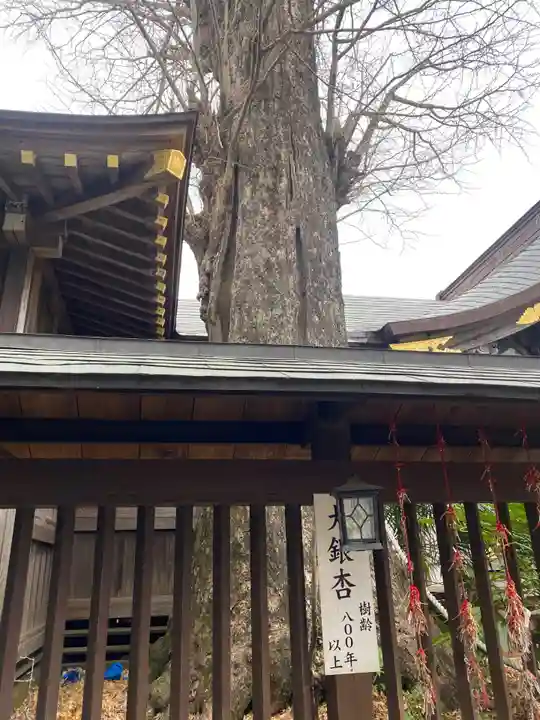 麻賀多神社(千葉県)