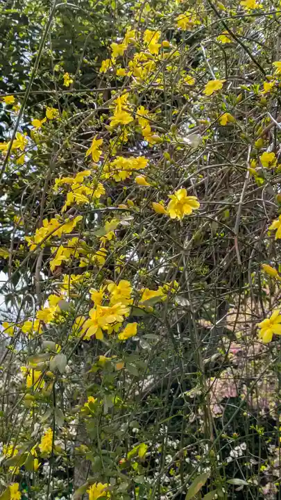 惠心院(京都府)