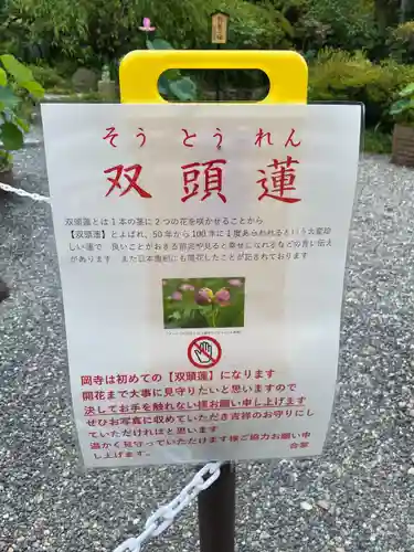 岡寺（龍蓋寺）(奈良県)