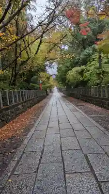 向日神社(京都府)