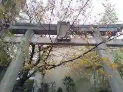 雉子神社の鳥居