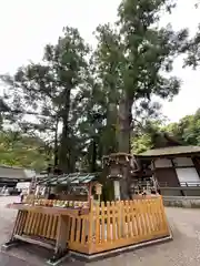 大神神社(奈良県)