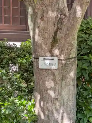 行慶寺(東京都)