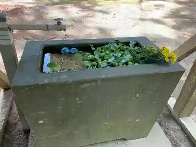 米川八幡神社の手水舎