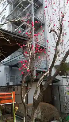 寶藏寺(成田不動尊) の自然