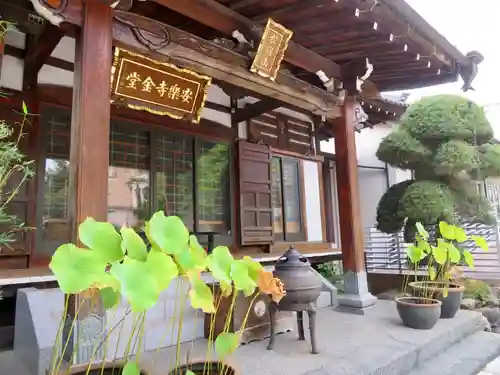 安樂寺（安楽寺）の本殿・本堂