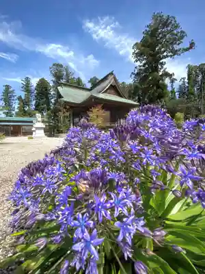 鹿嶋三嶋神社(茨城県)