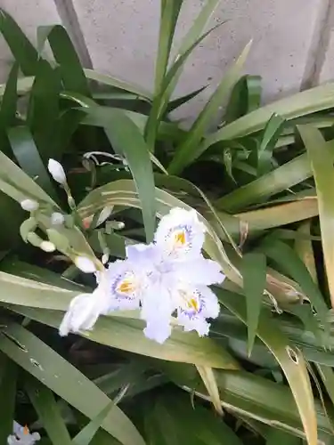 西方山極楽寺(岐阜県)