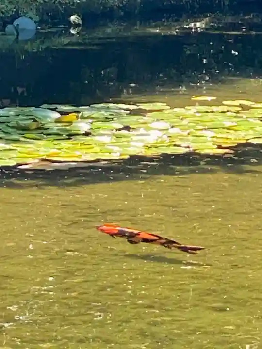 城南宮(京都府)