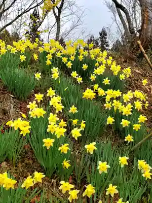 石都々古和気神社(福島県)