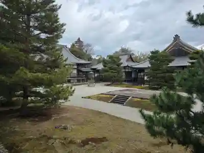 大覚寺(京都府)