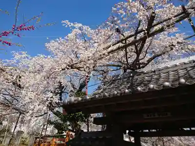 源空院(浅井寺)(愛知県)