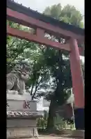 武蔵一宮氷川神社(埼玉県)