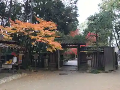 宇治上神社の山門・神門