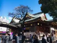 湯島天満宮の本殿