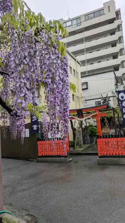 藤之宮 春日神社(野田の藤跡)(大阪府)