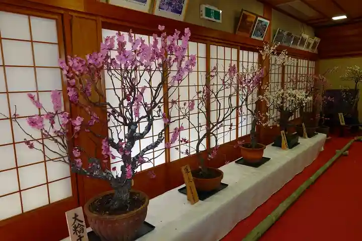 菅原天満宮(菅原神社)の自然
