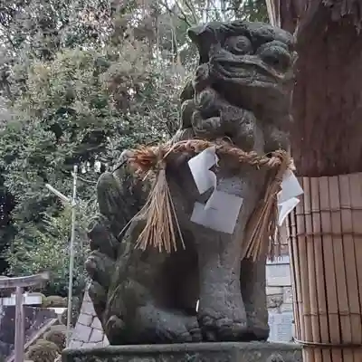 岡八幡宮の狛犬