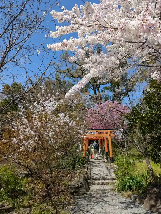 平野神社(京都府)