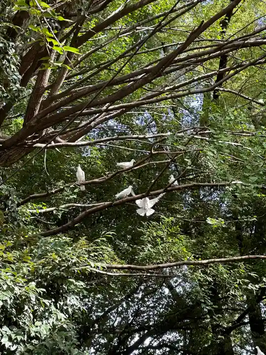 靖國神社(東京都)