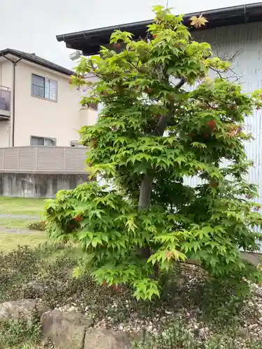 光西寺(神奈川県)