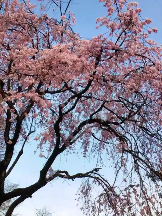下高井戸八幡神社(東京都)