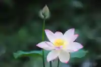 浄土寺(兵庫県)