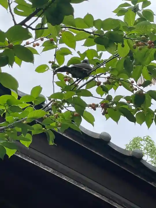 秩父札所十三番 慈眼寺(埼玉県)