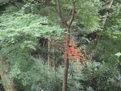 神峯山寺(大阪府)