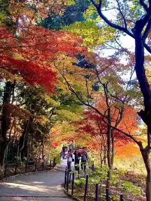 本土寺(千葉県)