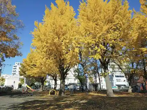菊水神社の周辺