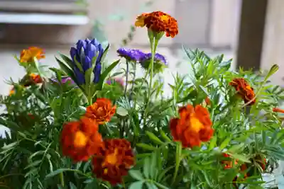 滑川神社 - 仕事と子どもの守り神の手水舎