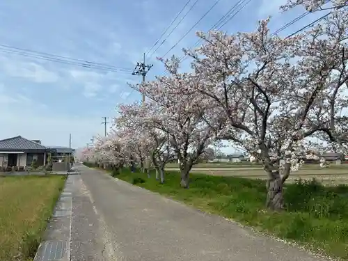 八坂神社(徳島県)