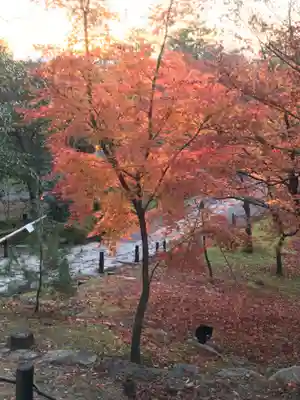 高台寺（高台寿聖禅寺・高臺寺）(京都府)