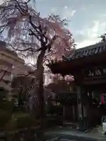 栽松院(宮城県)