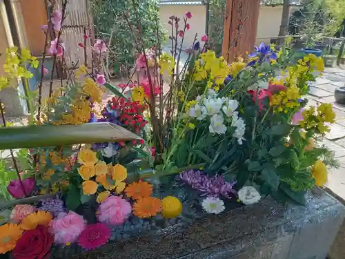 勝林寺(京都府)