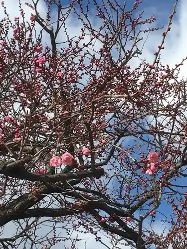 山田天満宮の自然