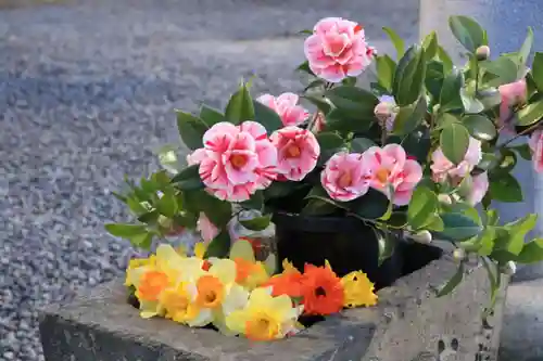 熊野福藏神社の手水