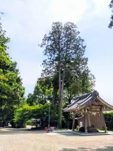 猿投神社の建物その他