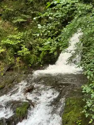 九頭龍神社の{uncategorized: "未分類", other: "その他", undefined: "問題あり", building: "その他建物", grave: "お墓", sacred_gate: "鳥居", guardian: "狛犬", statue: "像", buddha: "仏像", history: "歴史", nature: "自然", garden: "庭園", animal: "動物", pagoda: "塔", temizu: "手水舎", mountain_gate: "山門・神門", sanctuary: "本殿・本堂", subordinate: "末社・摂社", art: "芸術", scenery: "景色", jizo: "地蔵", ema: "絵馬", goshuin: "御朱印", omikuji: "おみくじ", items: "授与品その他", amulet: "お守り", goshuincho: "御朱印帳", eats: "食事", festival: "お祭り", votive_dance: "神楽", shichigosan: "七五三参", wedding: "結婚式", experience: "体験その他", initially: "初詣", around: "周辺", anti_infection: "感染症対策"}