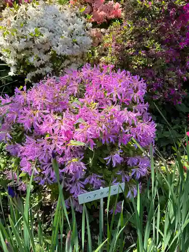 根津神社の自然