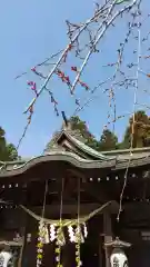 常陸第三宮　吉田神社(茨城県)