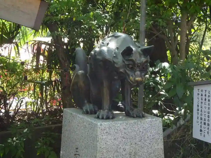 稲毛神社の狛犬