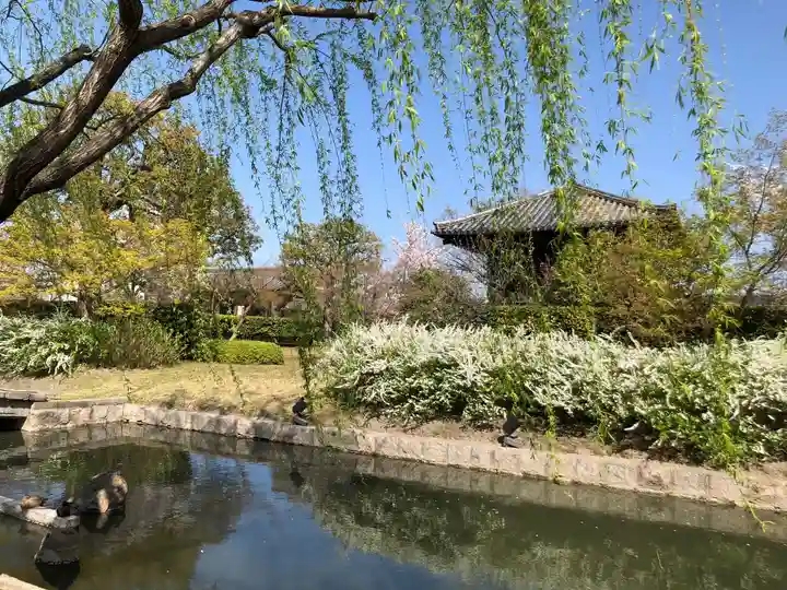 東寺(教王護国寺)の庭園