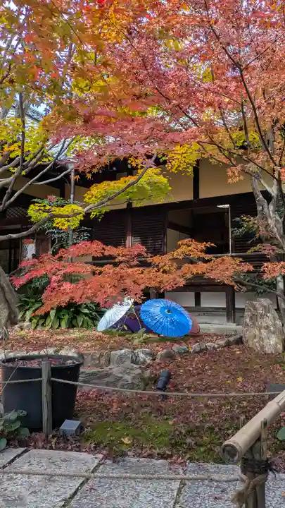 勝林寺(京都府)