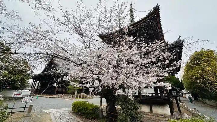 本法寺(京都府)